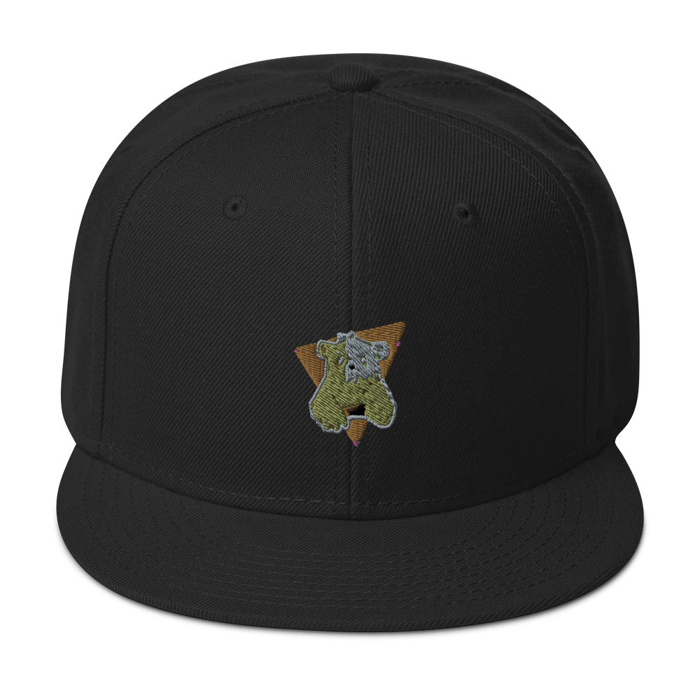 RE/life Snapback Hat