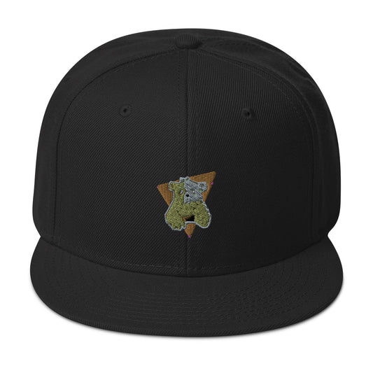 RE/life Snapback Hat